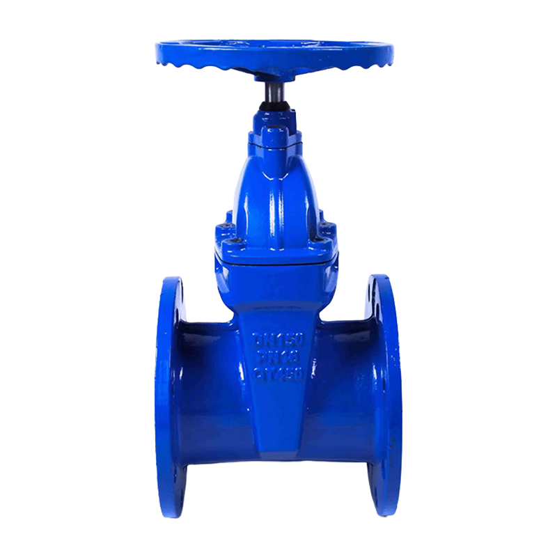 Resilient Seated Gate Valve