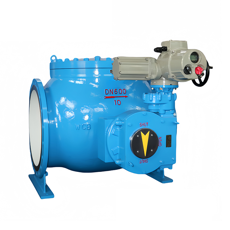 Flat-Bottom Eccentric Hemispherical Valve 3