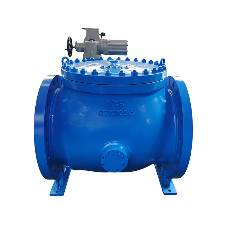 Flat-Bottom Eccentric Hemispherical Valve 2