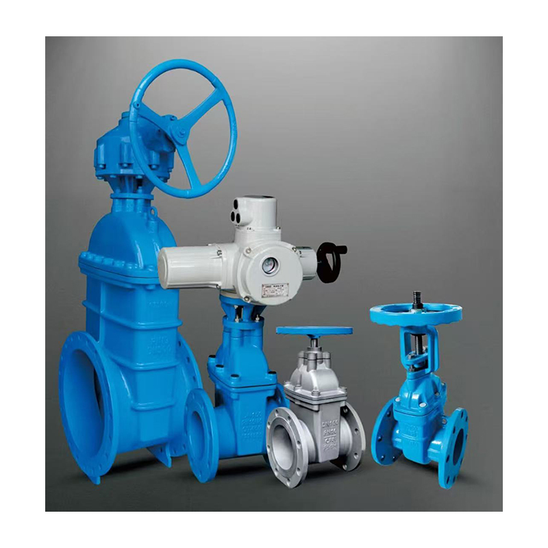 Resilient Seated Gate Valve
