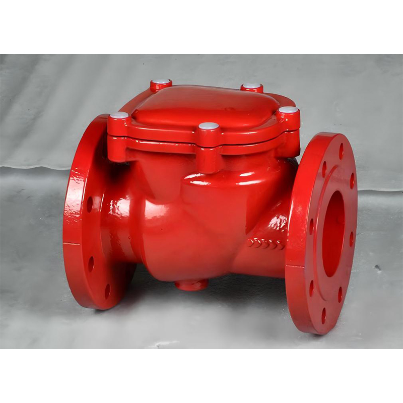 Check Valve
