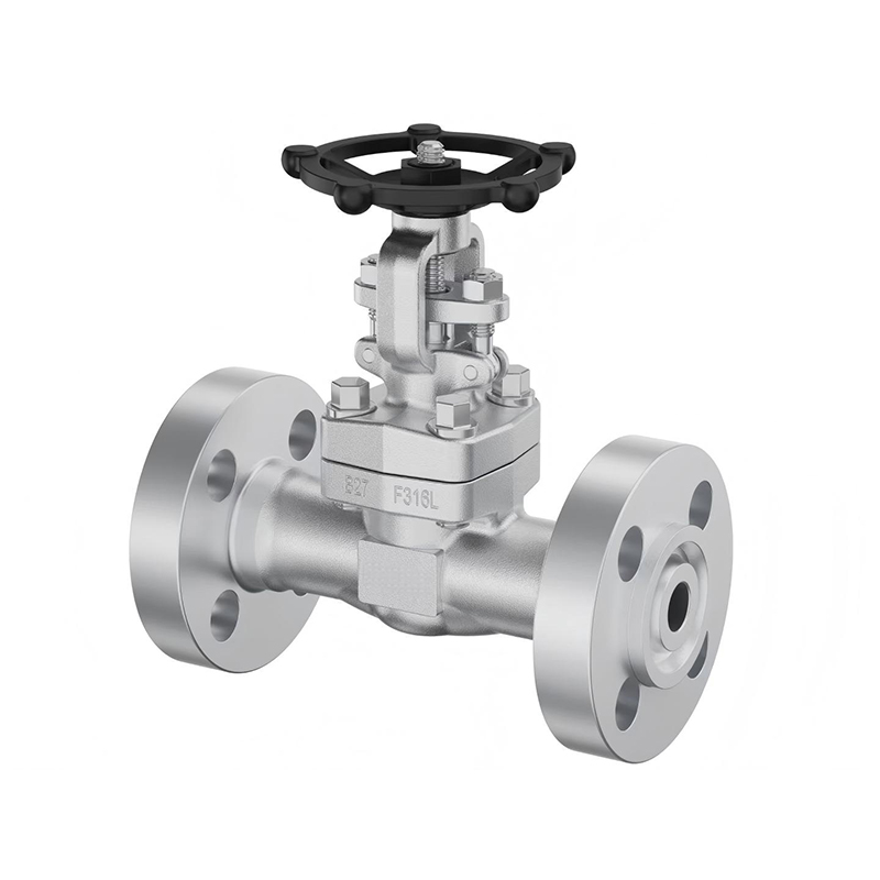 Forged Steel Gate Valve