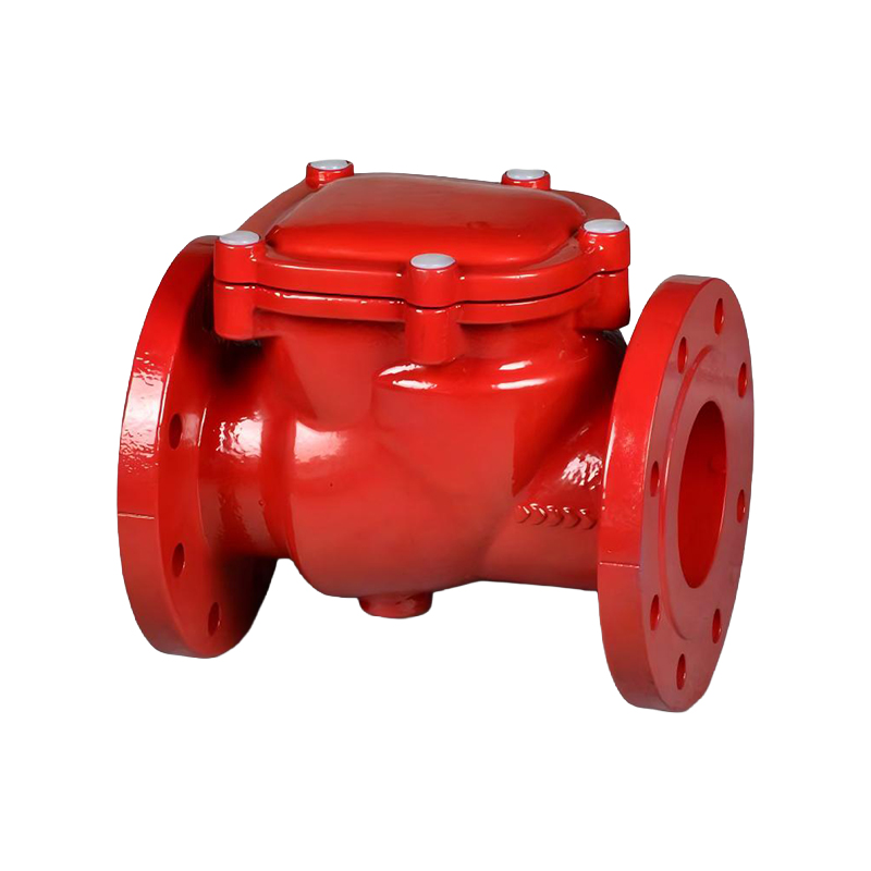 Check Valve