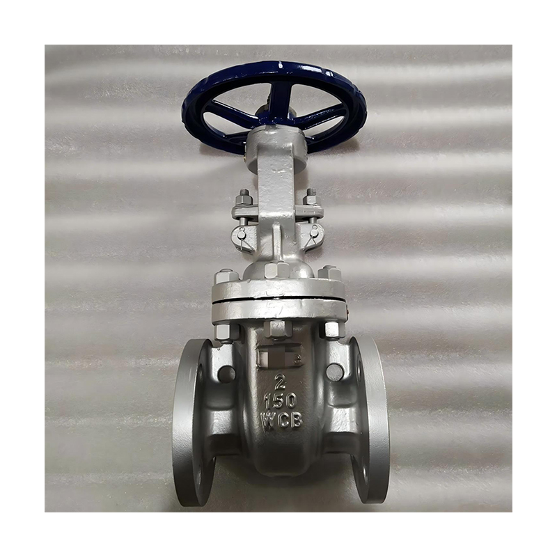 ANSI Gate Valve